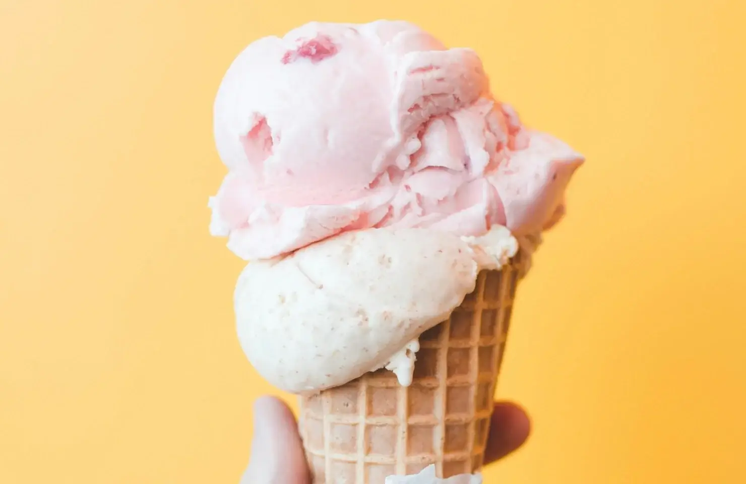 Marketing Well-designed Cookbooks and Recipes on Various Diets Marketing Well-designed Cookbooks and Recipes on Various Diets